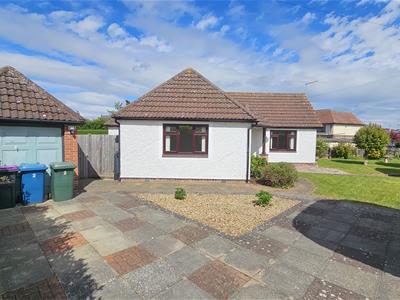 Picture 20